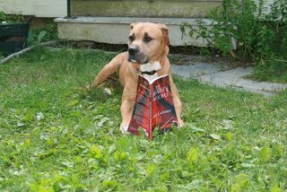 IMG_3705(2)
